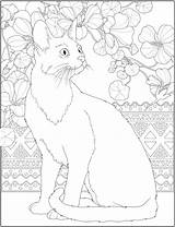 Coloring Pages Cat Cats Stamping Detailed Doverpublications Zebra Choose Board Adult sketch template