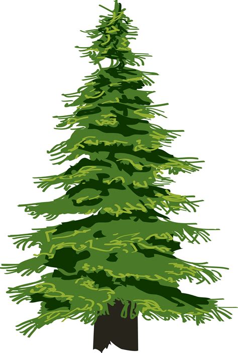 pine tree evergreen clip art christmas tree png