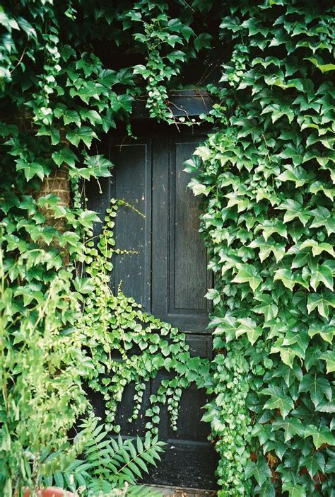 images  ivy  pinterest  secret garden life    garden doors