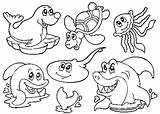 Pages Coloring Ocean Preschool Animals Getcolorings sketch template