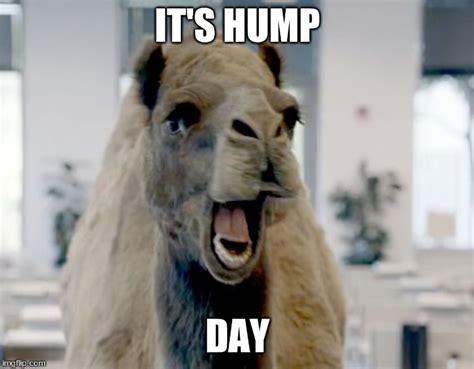 best happy hump day memes