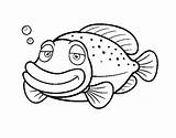 Grouper Coloring Drawing Pages Coloringcrew Getdrawings 470px 8kb sketch template