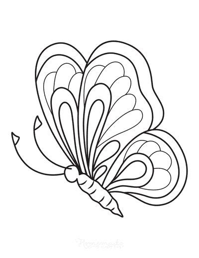 butterfly coloring pages  kids adults butterfly coloring