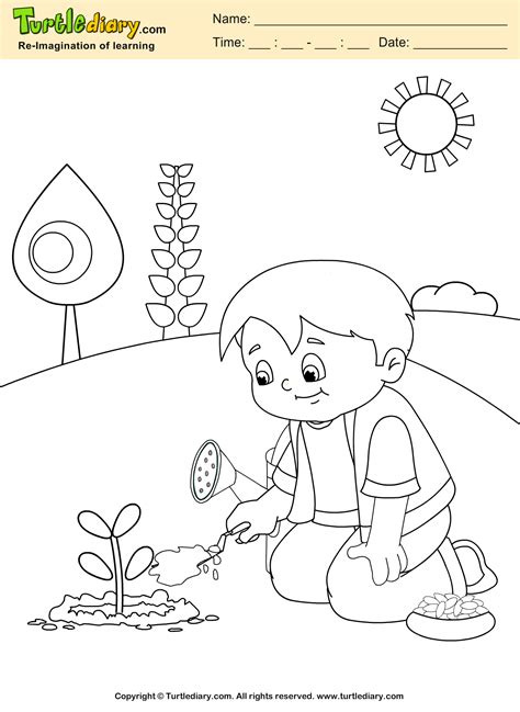 grow plant coloring sheet turtle diary