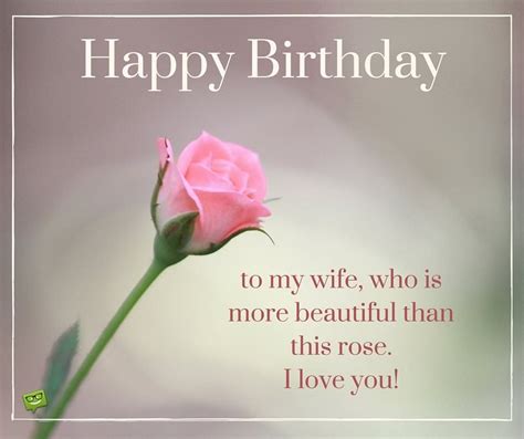 happy birthday   wife    beautiful   rose  love  happy birthday wife