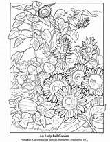 Coloring Pages Fall Flowers Getdrawings sketch template