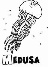 Animales Medusa Marinos Dibujo Peces Medusas Conmishijos Medusa1 sketch template