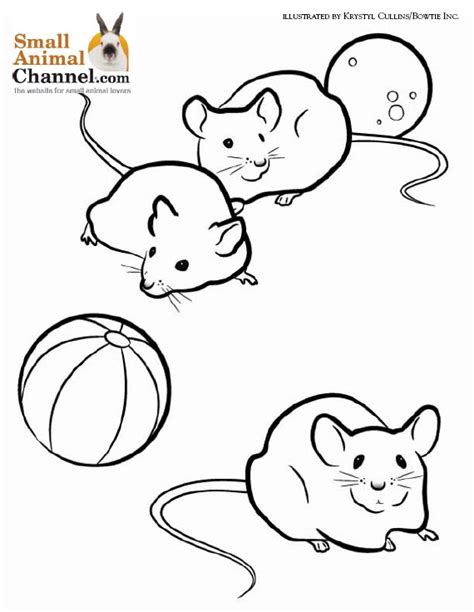 animals coloring pages minister coloring