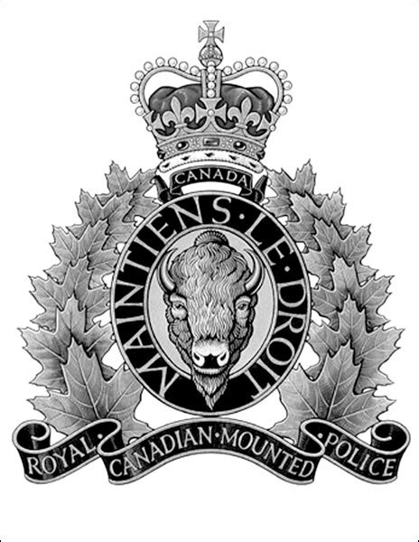 rcmp officer charged with firearms offence sasktoday ca