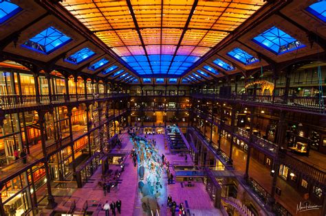 grande galerie de levolution paris natural museum france