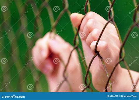 fence  stock image image  blue jail female
