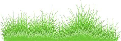 green grass png  png