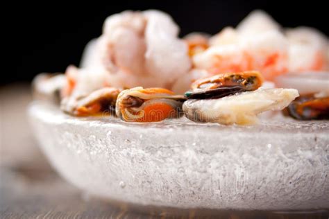 fresh seafood ingredients stock image image  background