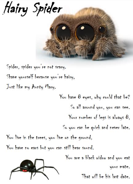 spider poem  blessed sacrament catholic primary school