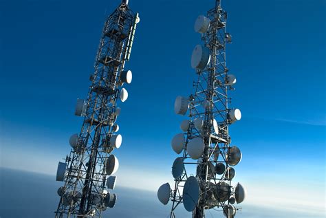telecoms revenues  grow   year
