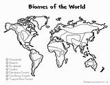 Biome Coloring Map Worksheet Chessmuseum sketch template