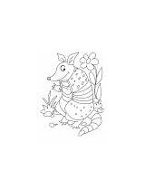 Coloring Pages Armadillo Spy sketch template