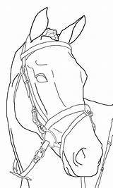 Paard Ruiter Pferde Dressuur Kleurplaten Pferd Lineart Wandtattoo Paardenhoofd Paarden Omnilabo Springend Malen Downloaden Moeilijk Equina Tekenen Süße Kopf Kaynak sketch template