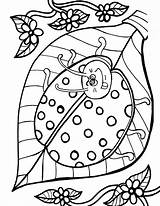 Mariquita Colorear Insectos Ausmalen Zum Coccinelle Colorat Joaninhas Planse Fourmi Mariquitas Gargarita Hermosa Desene Coloriages Insect Ladybird sketch template