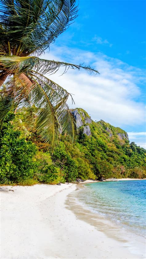 wallpaper philippines beach sea palm trees blue sky