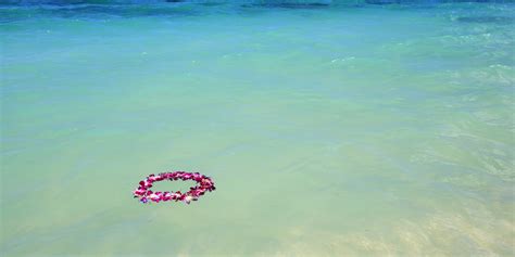 in honor of lei day everything you never knew about leis huffpost