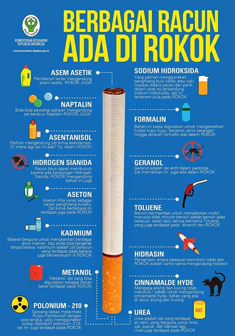 tips  berkesan khas buat perokok  berhenti merokok daily