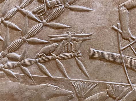 ancient egypt dragonflies     middle kingdoms dancing