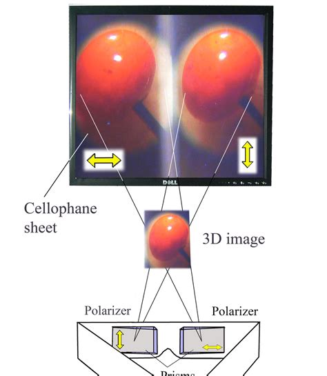 Polarized Light From An Lcd Monitor Is Used To Display A