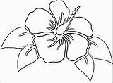 Hawaiian Hibiscus Getdrawings Dxf sketch template