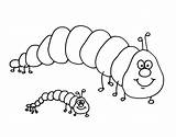Chenille Caterpillar Coloriages Pratique sketch template