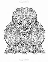 Poodle Colouring Need Relieving Mom Puppy Printable Poodles Everywhere Kawaii Mandela sketch template