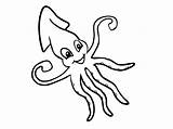 Squid Calamar Getdrawings Designlooter sketch template