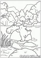 Lars Ours Urso Colorkid Polar Oso Osito Disegni Plume Polaire Pequeno Polare Piuma Orsetto Coloriages Colorare sketch template