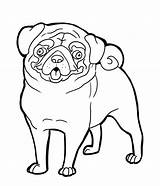 Pug Coloring Pages Dog Printable Clip Clipart Puppy Kids Print Cliparts Drawing Pugs Colouring Pig Animal Animals Dogs Adults Color sketch template