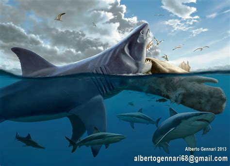 basking shark megalodon archives max hawthorne