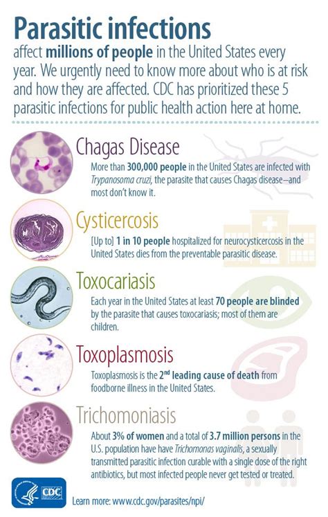 Most People Think Of Parasitic Diseases Occurring In Poor And