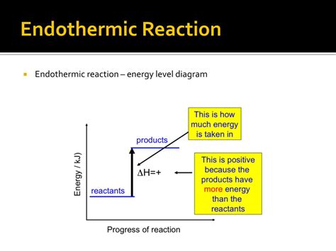 endothermic exothermic reactions powerpoint  id