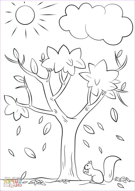 autumn tree coloring page   fall coloring sheets tree coloring