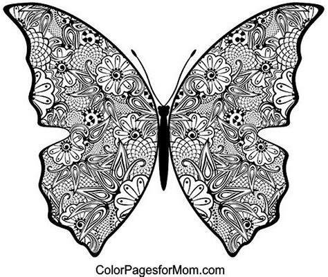butterfly coloring page  adult coloring pages pinterest