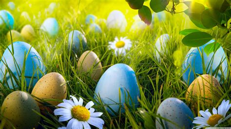 easter egg hunt ultra hd desktop background wallpaper