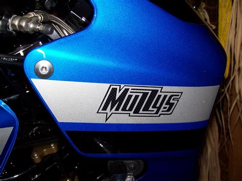update custom motorcycle decals  dicari