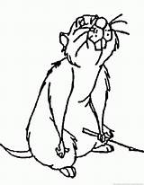Gopher Coloring Pages Drawing Getdrawings Zoom Print sketch template