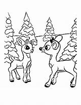 Rudolph Coloring Pages Reindeer Nosed Red Christmas sketch template