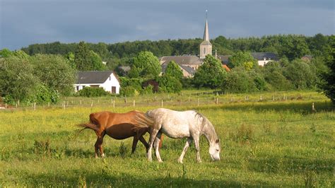 paardrijden belgische ardennen manages ardennennl
