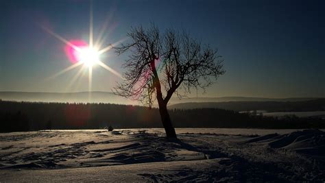 erzgebirge erzgebirgskamm winter kostenloses foto auf pixabay pixabay