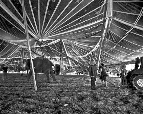 pin  kathryn lieber   fantasticks circus pictures circus tent