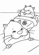 Zhu Hamster Ausmalbilder Kleurplaten Kleurplaat Coloriage Zhuzhu Ausmalbild Coloriez Colorir Planetadibujos Coloriages Malvorlage Sur Imprimir Desenhosparacolorir sketch template