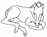 Horse Miniature Coloring Pages Template sketch template
