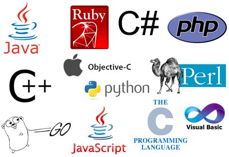 pick   programming language lets learn