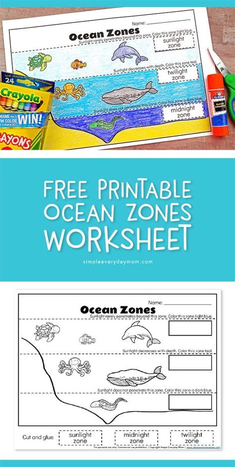 ocean zones  kids learning   amazing ocean ocean